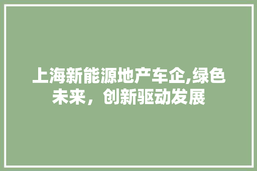 上海新能源地产车企,绿色未来，创新驱动发展
