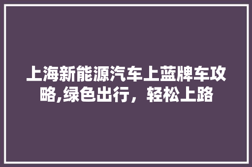 上海新能源汽车上蓝牌车攻略,绿色出行，轻松上路