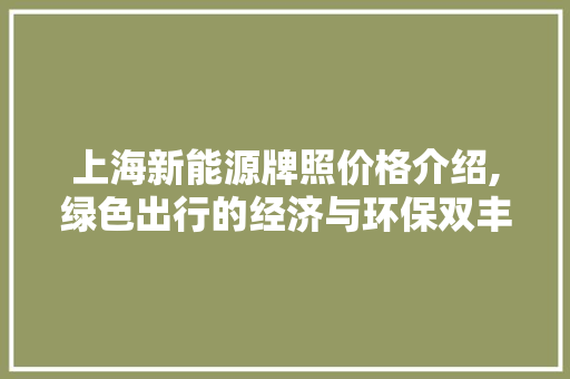 上海新能源牌照价格介绍,绿色出行的经济与环保双丰收