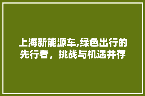 上海新能源车,绿色出行的先行者，挑战与机遇并存