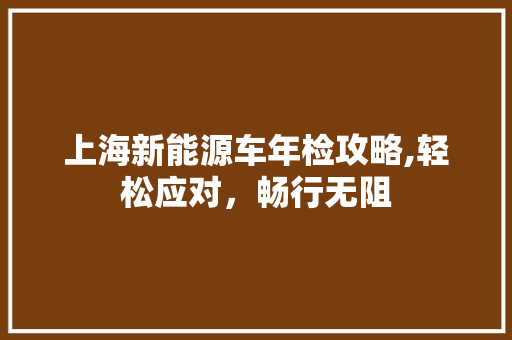 上海新能源车年检攻略,轻松应对，畅行无阻