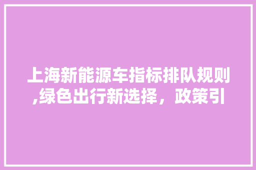 上海新能源车指标排队规则,绿色出行新选择，政策引导下的未来之路