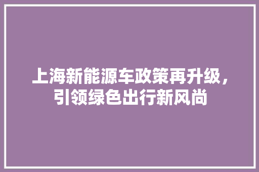 上海新能源车政策再升级，引领绿色出行新风尚 新款车型