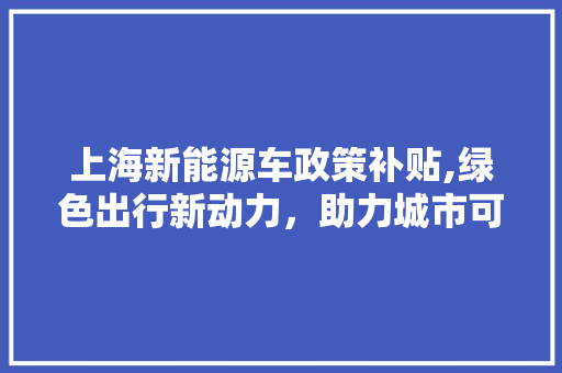 上海新能源车政策补贴,绿色出行新动力，助力城市可持续发展 汽车配件
