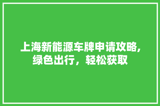 上海新能源车牌申请攻略,绿色出行，轻松获取