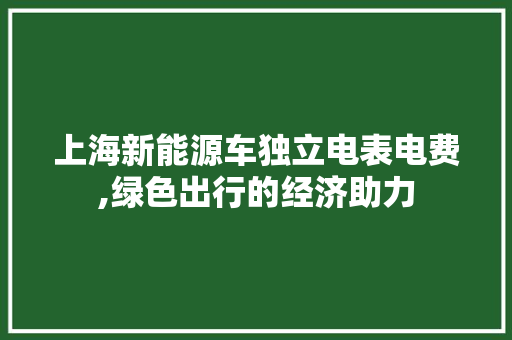上海新能源车独立电表电费,绿色出行的经济助力