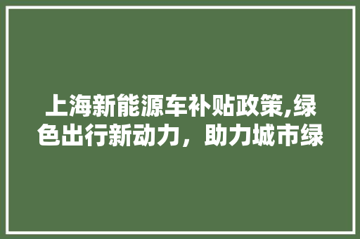 上海新能源车补贴政策,绿色出行新动力，助力城市绿色发展
