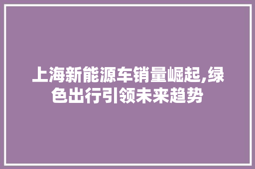 上海新能源车销量崛起,绿色出行引领未来趋势