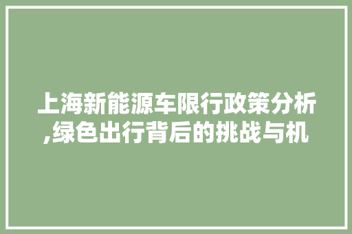 上海新能源车限行政策分析,绿色出行背后的挑战与机遇
