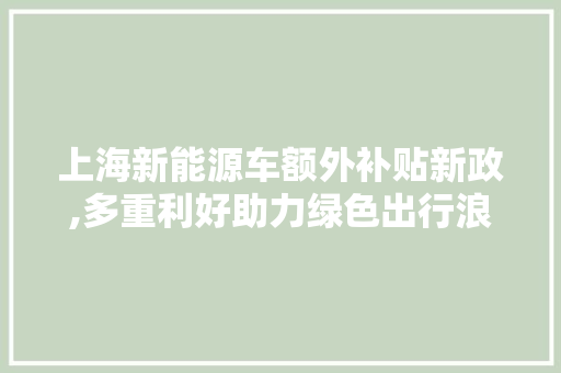 上海新能源车额外补贴新政,多重利好助力绿色出行浪潮