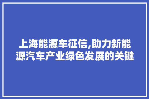 上海能源车征信,助力新能源汽车产业绿色发展的关键一步