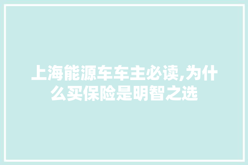 上海能源车车主必读,为什么买保险是明智之选