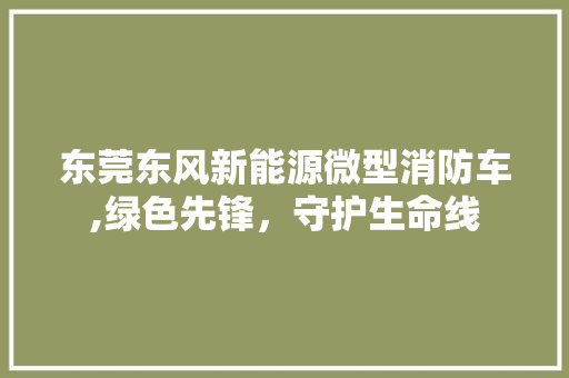 东莞东风新能源微型消防车,绿色先锋，守护生命线