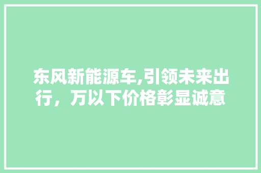 东风新能源车,引领未来出行，万以下价格彰显诚意