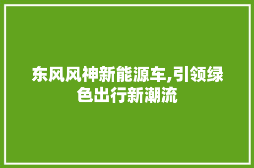 东风风神新能源车,引领绿色出行新潮流
