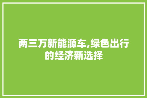 两三万新能源车,绿色出行的经济新选择