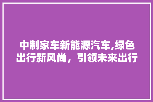 中制家车新能源汽车,绿色出行新风尚，引领未来出行潮流 车身配件