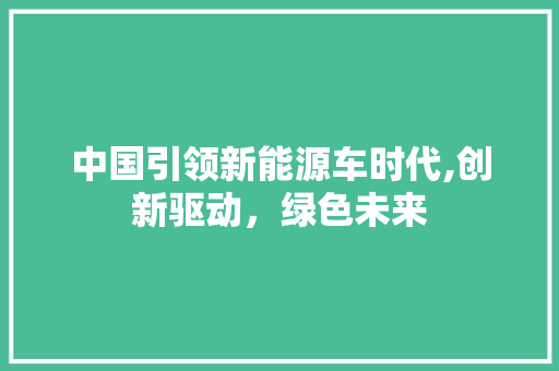 中国引领新能源车时代,创新驱动，绿色未来