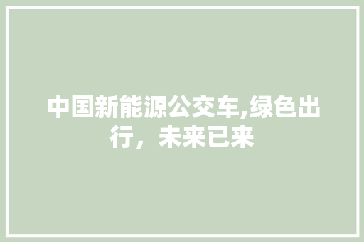 中国新能源公交车,绿色出行，未来已来