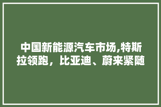 中国新能源汽车市场,特斯拉领跑，比亚迪、蔚来紧随其后