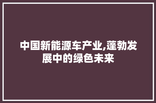 中国新能源车产业,蓬勃发展中的绿色未来 发动机配件
