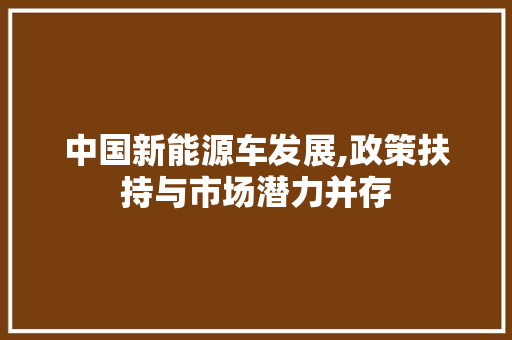 中国新能源车发展,政策扶持与市场潜力并存 变速箱配件