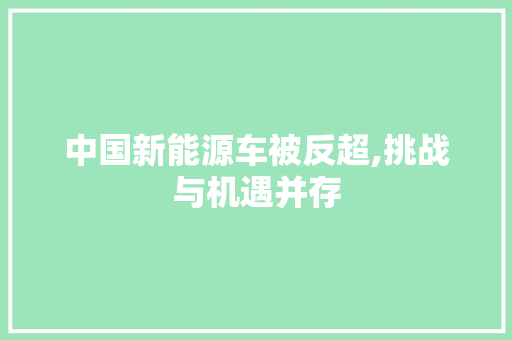 中国新能源车被反超,挑战与机遇并存