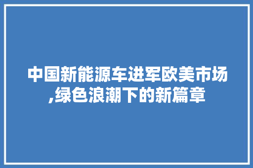 中国新能源车进军欧美市场,绿色浪潮下的新篇章 车身配件