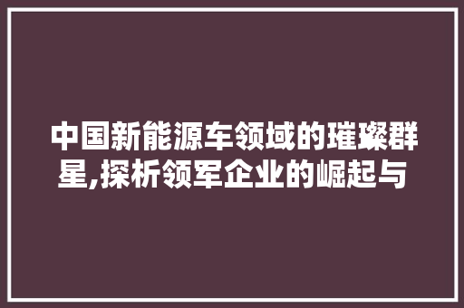 中国新能源车领域的璀璨群星,探析领军企业的崛起与发展