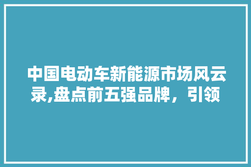 中国电动车新能源市场风云录,盘点前五强品牌，引领绿色出行新潮流 发动机配件