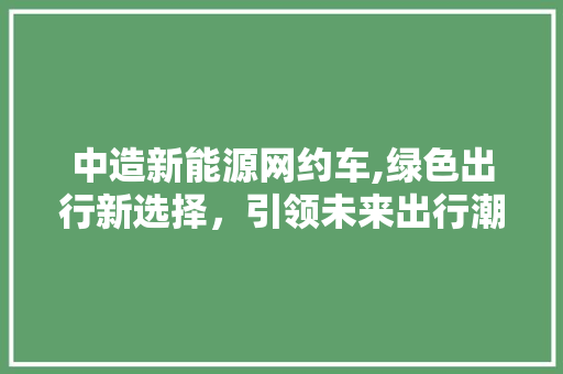 中造新能源网约车,绿色出行新选择，引领未来出行潮流 车身配件
