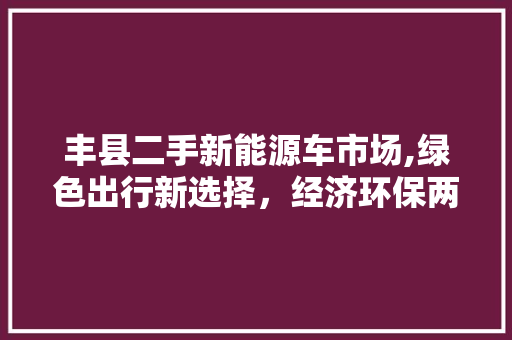 丰县二手新能源车市场,绿色出行新选择，经济环保两不误