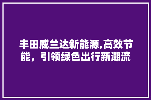 丰田威兰达新能源,高效节能，引领绿色出行新潮流 底盘配件