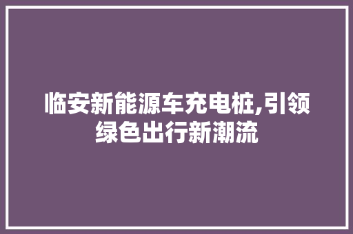 临安新能源车充电桩,引领绿色出行新潮流