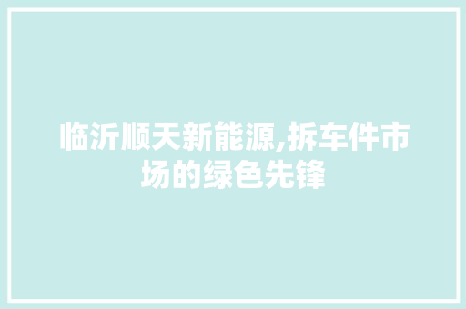 临沂顺天新能源,拆车件市场的绿色先锋