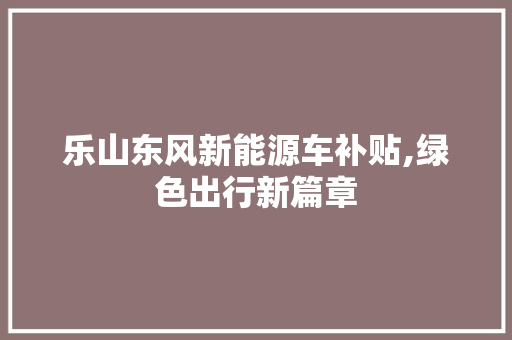 乐山东风新能源车补贴,绿色出行新篇章