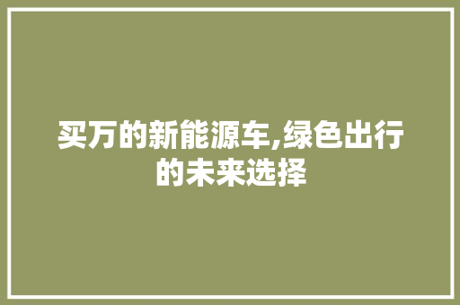 买万的新能源车,绿色出行的未来选择