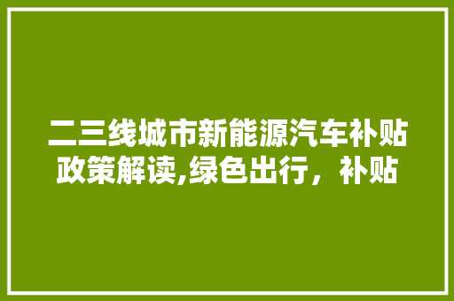 二三线城市新能源汽车补贴政策解读,绿色出行，补贴助力