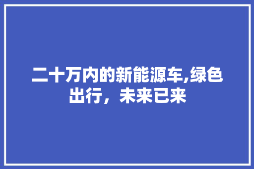 二十万内的新能源车,绿色出行，未来已来
