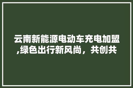 云南新能源电动车充电加盟,绿色出行新风尚，共创共享未来