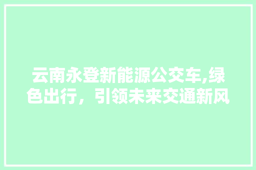 云南永登新能源公交车,绿色出行，引领未来交通新风尚 变速箱配件