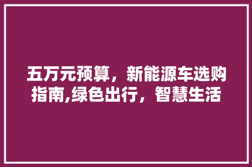 五万元预算，新能源车选购指南,绿色出行，智慧生活