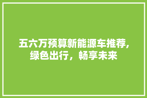 五六万预算新能源车推荐,绿色出行，畅享未来