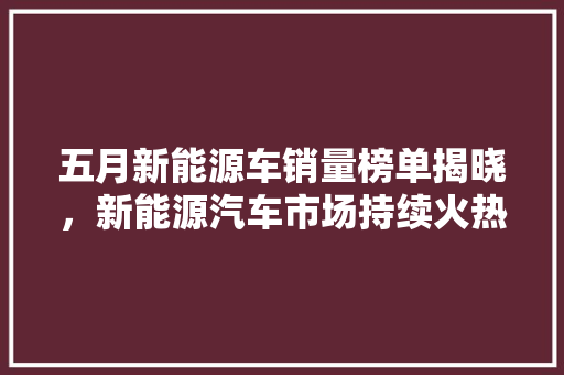 五月新能源车销量榜单揭晓，新能源汽车市场持续火热