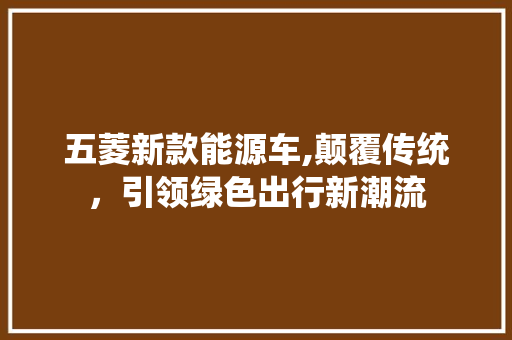 五菱新款能源车,颠覆传统，引领绿色出行新潮流
