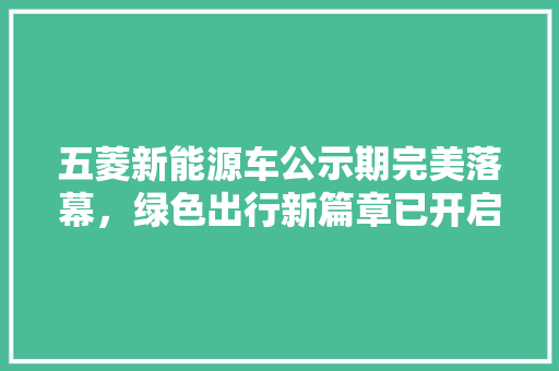 五菱新能源车公示期完美落幕，绿色出行新篇章已开启