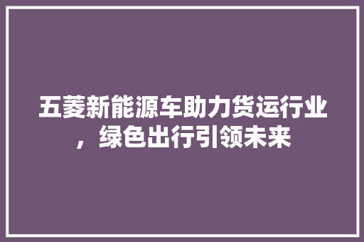 五菱新能源车助力货运行业，绿色出行引领未来