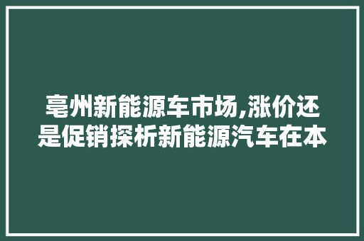 亳州新能源车市场,涨价还是促销探析新能源汽车在本地的发展态势