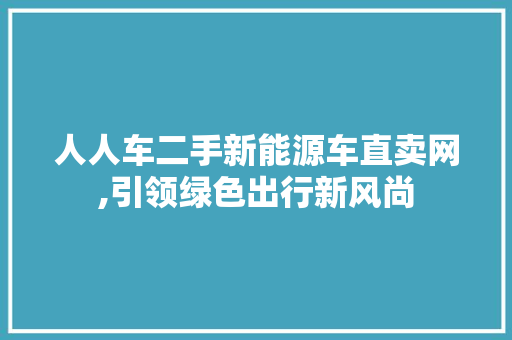 人人车二手新能源车直卖网,引领绿色出行新风尚