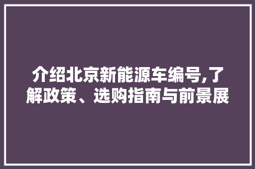 介绍北京新能源车编号,了解政策、选购指南与前景展望